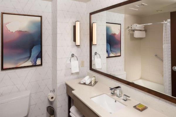 Hilton Asheville Biltmore Park image 27