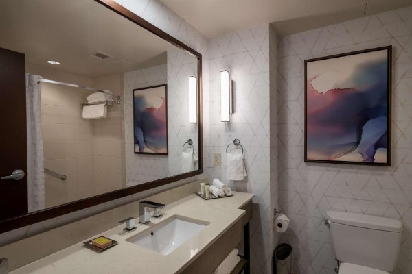 Hilton Asheville Biltmore Park image 28